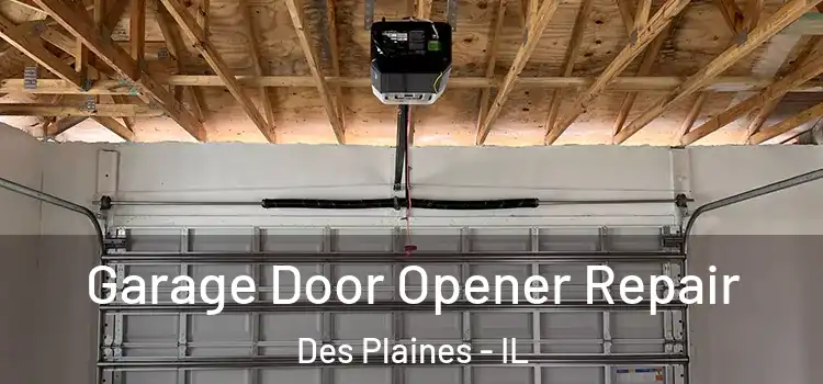  Garage Door Opener Repair Des Plaines - IL